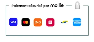 Mollie paiement